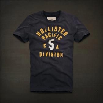 Camiseta Hollister  Tam. (P)